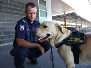 Detector dog and ACBPS handler