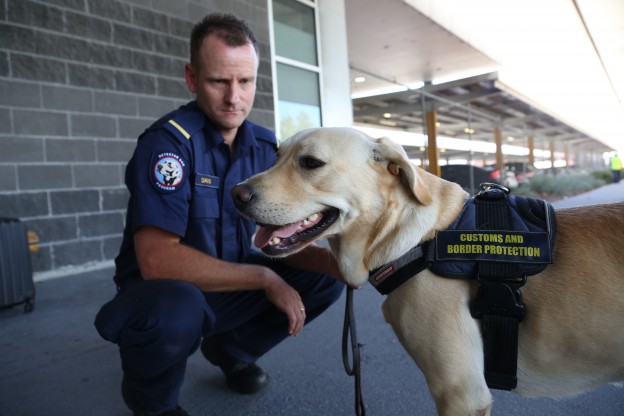 Detector dog and ACBPS handler