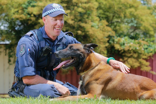 Bob the police dog