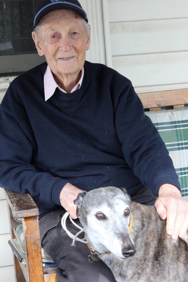 the Greyhound and the grey-haired