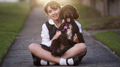 Taloodles assistance dog