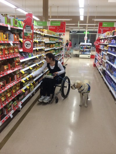 Assistance dog