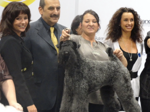 World Dog Show 2014 winner