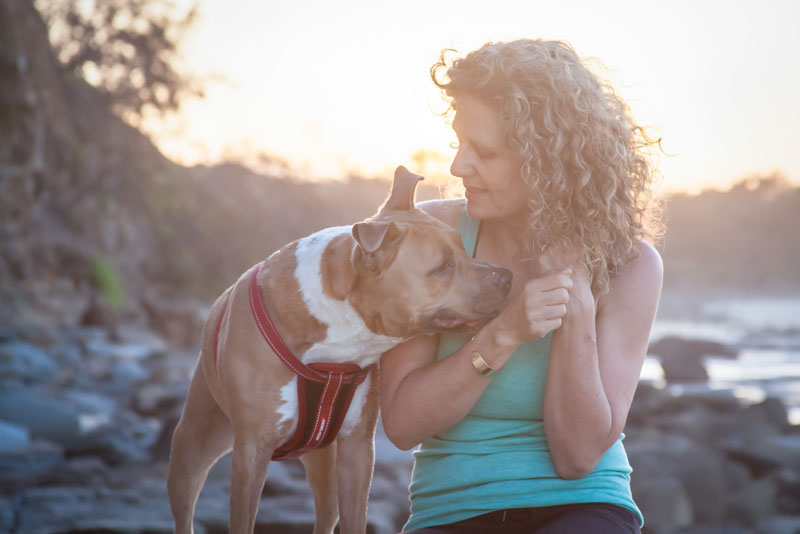 Dealing with dog bites