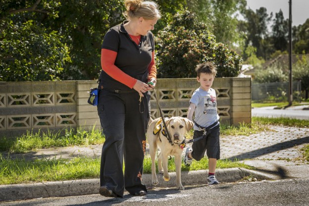 Guide Dogs