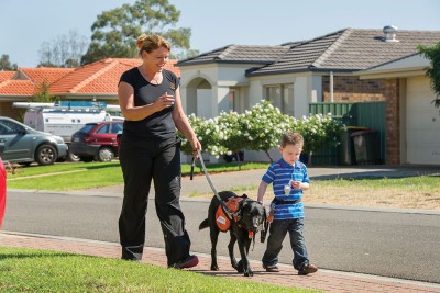 Guide Dogs