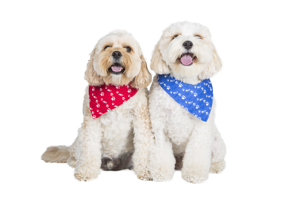 Personalised Neckerchief