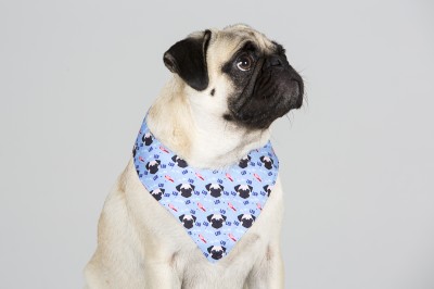 IdPet Personalised Neckerchiefs 3