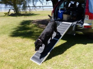 Pet ramp