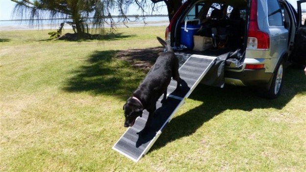 Pet ramp