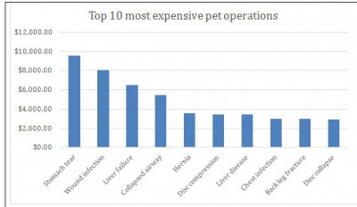 Pet Insurance table