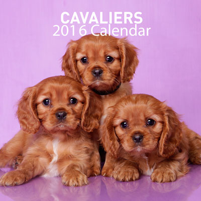 Cavillers-Calendar_front