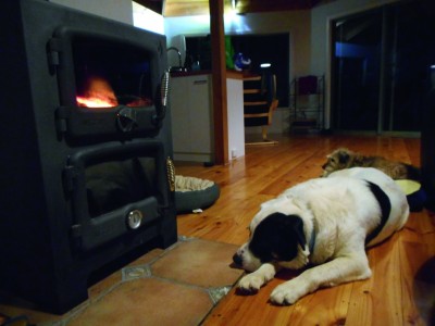 DogRetreat4 – Enjoying the fire at Still Windy, luxury accommodation, Middle River