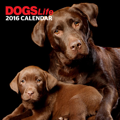 Dogs-Life-CAL16-JAN_front