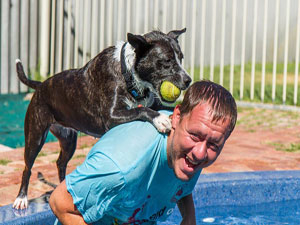 A Close Bond - Rescue Dog