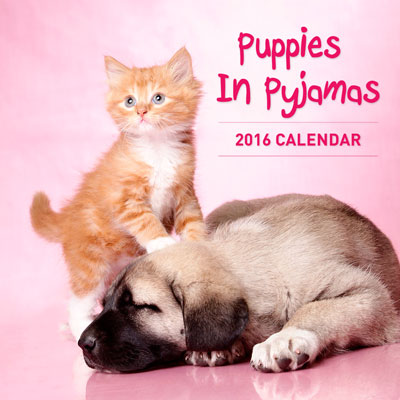 Puppies-in-Pyjamas-CAL16_fr