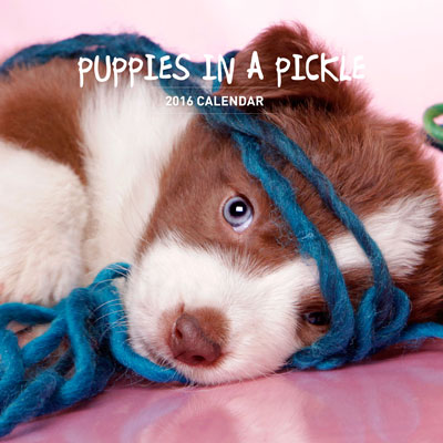 Puppies-in-a-Pickle-Calenda