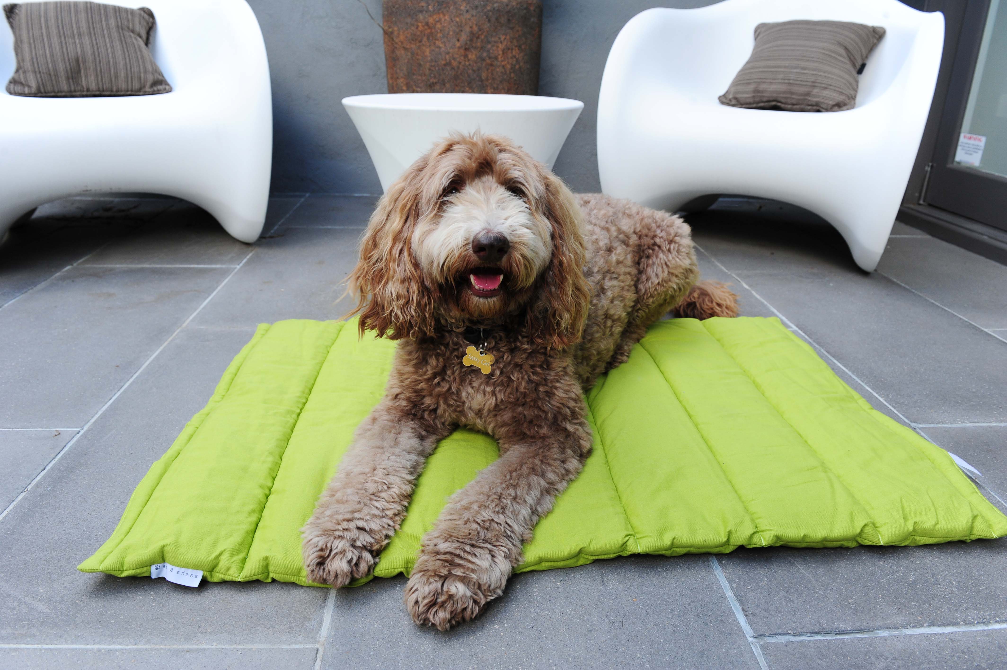 Travel pet mat