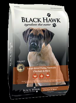 blackhawk puppy large breed