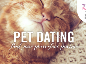 Pet Barn Pet Dating