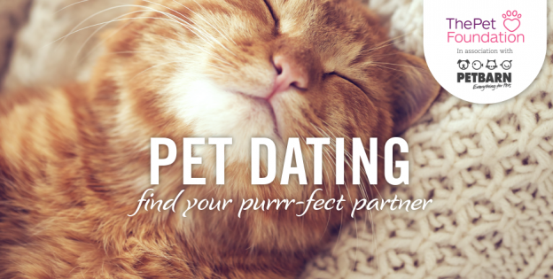Pet Barn Pet Dating