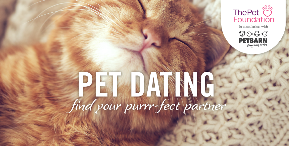 Valentine’s Pet Dating