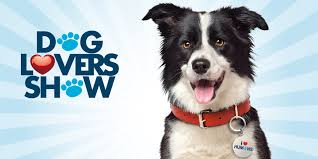 Dog Lover's Show