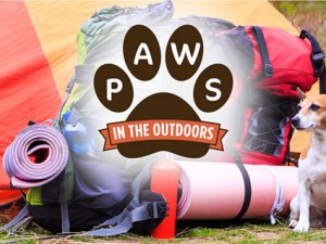 paws in the Outdoors