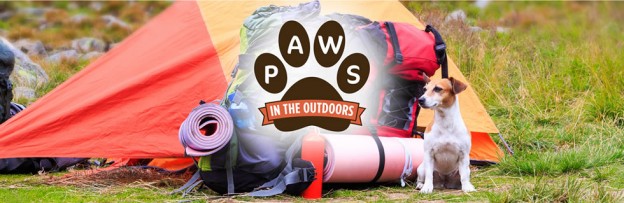 paws in the Outdoors