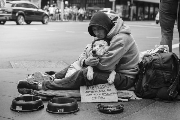 Pets in the Park by Linda Warlond - Clique Photography Sydney