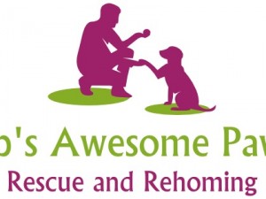 Christmas in July Fundraiser for KPS Awesome Paws Rescue & Pugs SOS