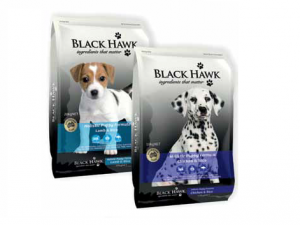 Black hawk puppy