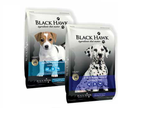 Black hawk puppy