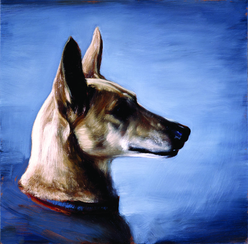 Dogs in Australia Art Exhibition