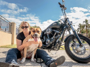 Bikers on hogs for dogs