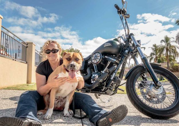 Bikers on hogs for dogs