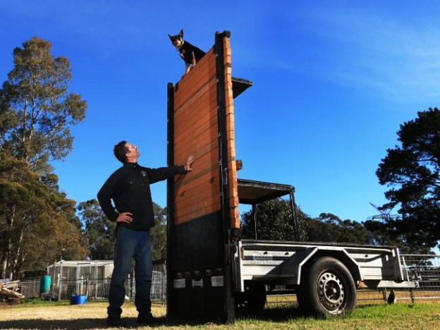 Owner Carey Edwards from Australian Working Dog Rescue International
Picture credit: Toby Zerna