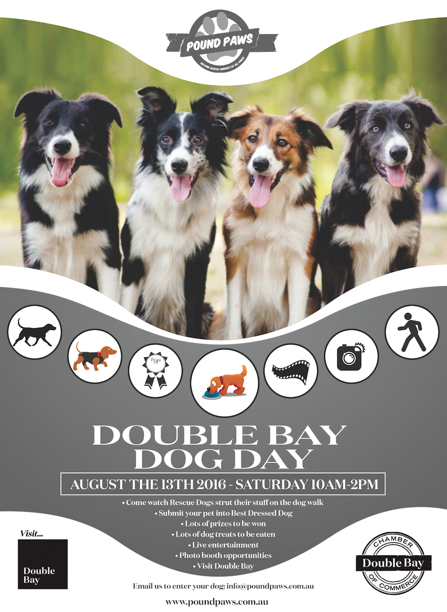 Double Bay Dog Day