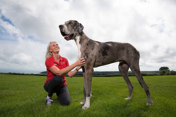 Image by Wales News Service