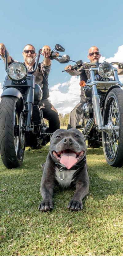 bikers on hogs for dogs 2
