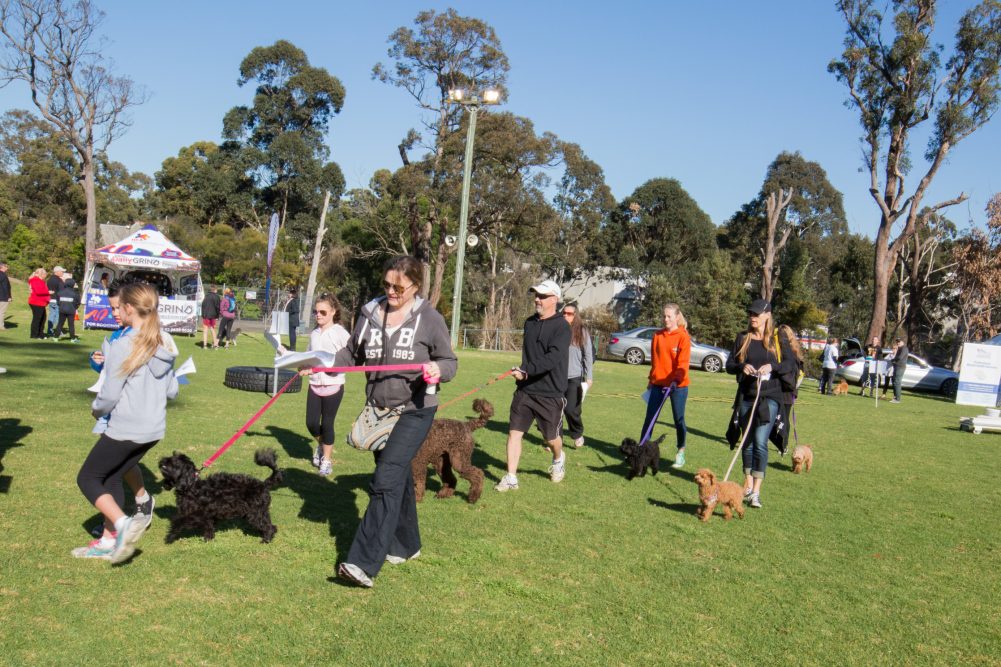 Pawsitive Steps Towards Mental Health