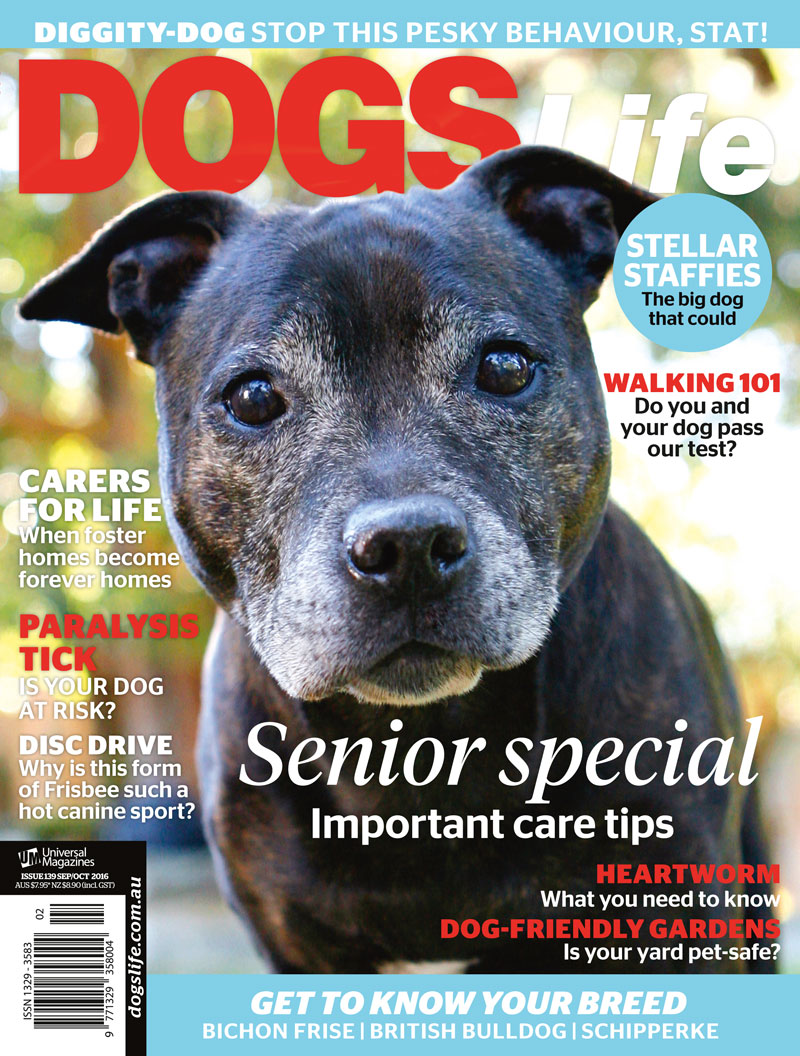 Our new issue is here!