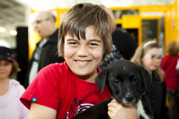 Royal Melbourne Show 2016