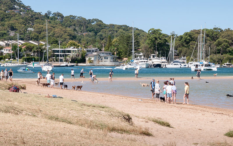 Dog Day by the Bay 2016
