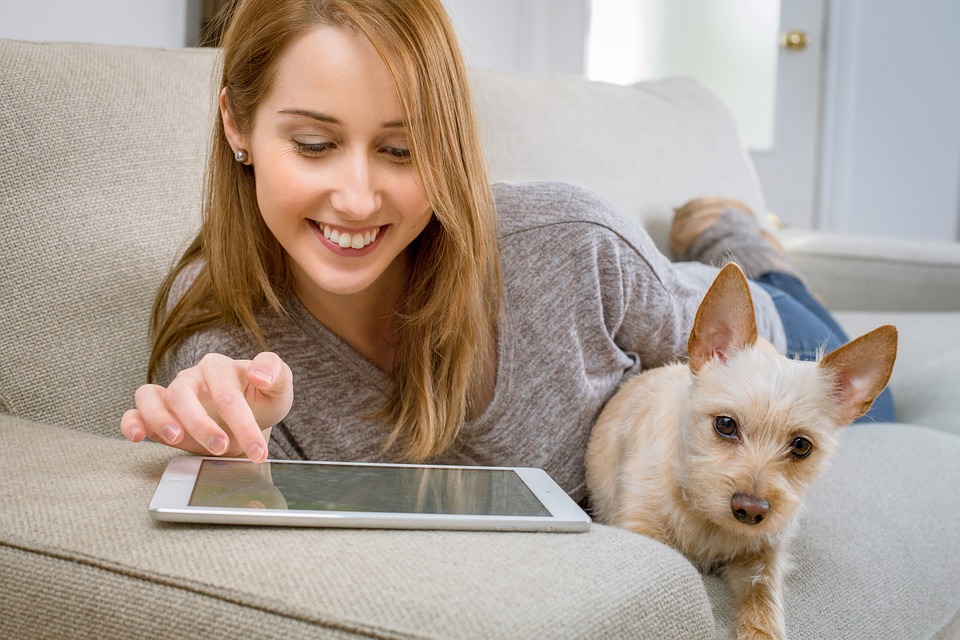 Business focus: Pet Deck