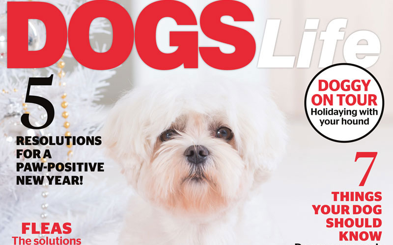 Our summer issue is here!