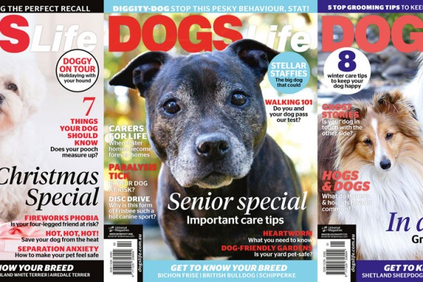 Dogs-life-subscription-give