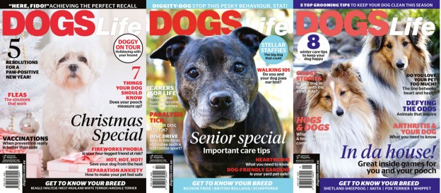 Dogs-life-subscription-give