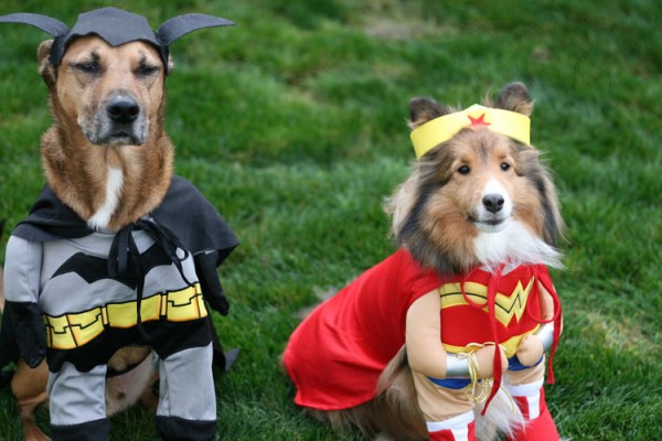 Halloween-dogs