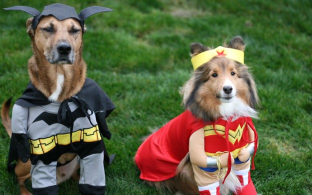 Halloween-dogs